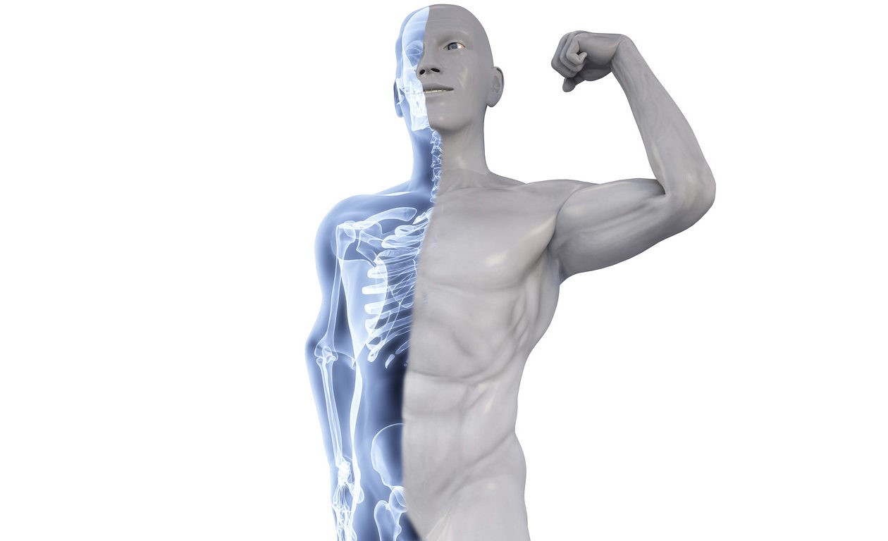 Mận chứa nhiều khoáng chất thiết yếu giúp duy trì mật độ xương và giảm nguy cơ loãng xương