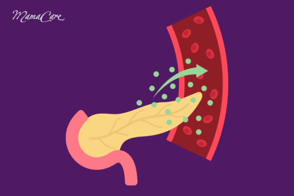 Hệ miễn dịch đóng vai trò quan trọng trong việc bảo vệ cơ thể khỏi tác nhân gây bệnh