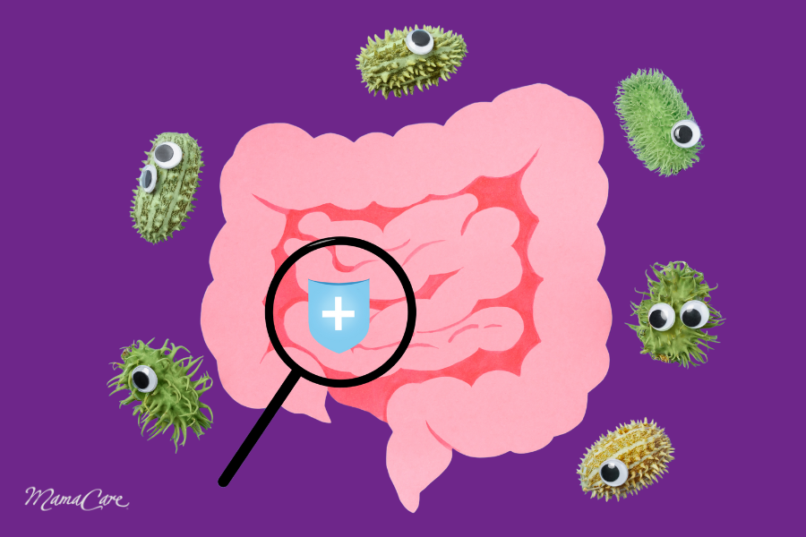 Hệ vi sinh vật đường ruột đóng vai trò quan trọng trong việc chăm sóc hệ tiêu hóa