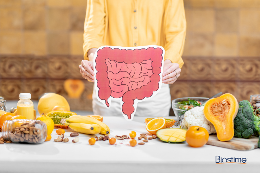 Hệ tiêu hóa đóng vai trò xử lý thức ăn thành dinh dưỡng đi nuôi cơ thể 