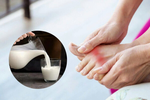 Lựa chọn sữa cho người bệnh gout phù hợp đi kèm với chế độ dinh dưỡng khoa học mang đến nhiều lợi ích