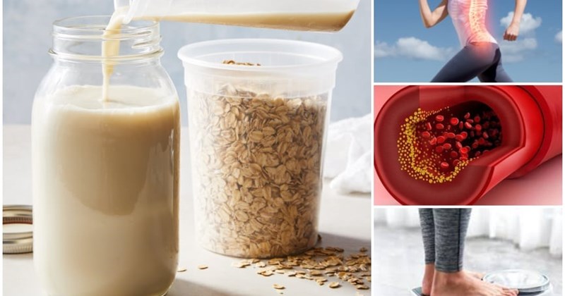 Sản phẩm tiêu biểu: Oatly Original, Califia Farms Oat Milk, TH True Oat Milk,... giúp hỗ trợ tiêu hóa, điều hòa đường huyết